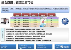 数据驱动，智领未来 服务型集团公司大数据应用解决方案